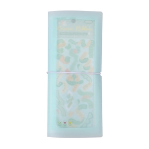 Mint green translucent macaron sticker storage book with elastic strap and rainbow card