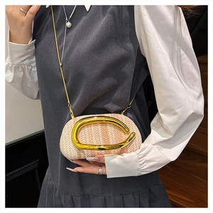 Detailed close-up of woven round box bag with elegant gold metal handle and chain strap