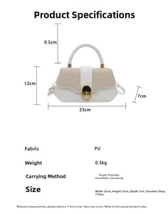 Vue détaillée du sac en cuir PU tissé avec dimensions et fermoir doré rotatif