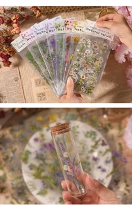 Macro detail of natural series plant stickers and DIY display in vintage glass vials