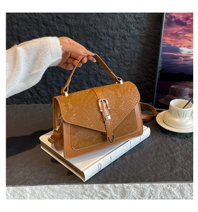 Detailed macro view of the brown snakeskin pattern texture and golden buckle on handbag