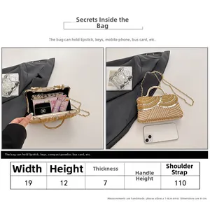 Size guide for sequin evening bag showing 19x12x7cm dimensions and interior capacity