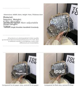 Silver sequin clutch bag detail showing 24x19x8cm dimensions and chain strap