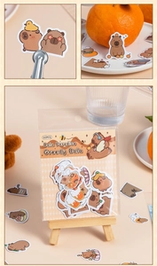 Detailed view of 40PCS cute Capybara stickers in Bala Paradise series packaging