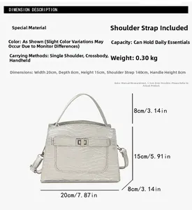 Detailed size specifications of silver handbag with water ripple texture and dimensions
