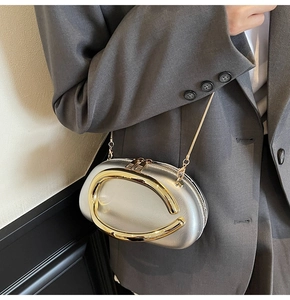 Detail of silver pebble-shaped crossbody bag with gold C-clasp and snake chain strap