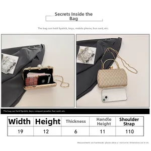 Size chart and interior view of gold evening bag with metal chain strap