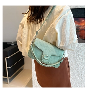 Detailed close-up of mint green handbag featuring embossed texture and C-logo buckle