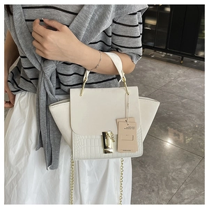 Detail of off-white crossbody bag with crocodile texture and gold chain strap handle