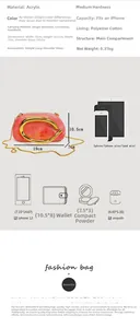 Size guide for acrylic party clutch showing 19x10.5x7cm dimensions and phone capacity