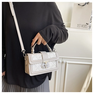 Detail view of the elegant geometric maze pattern and silver rotating lock on the handbag