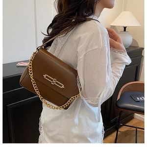 Close-up of brown matte shoulder bag with chunky gold chain and oval twist lock