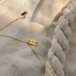 Macro view of gold-plated rectangular coin pendant with Zhaocai engraving and fine chain