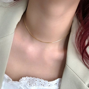 Collier Chaîne Serpent Acier Titane Plaqué Or Ras Du Cou Minimaliste Pour Femmes Bijoux Élégants Rétro