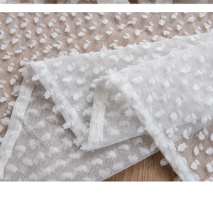 Dettaglio ravvicinato di tessuto trasparente bianco con pois floccati 3D in rilievo