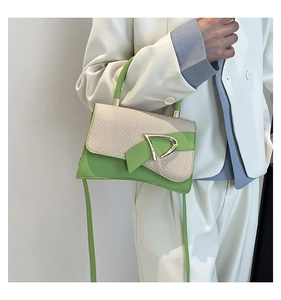 Detail of woven texture and gold D-buckle on green and beige leather handbag