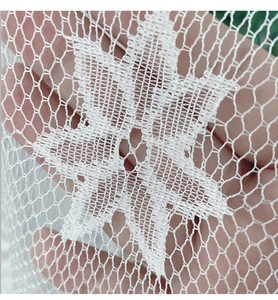 Gros plan sur le tissu en dentelle blanche avec broderie florale et détails étoilés