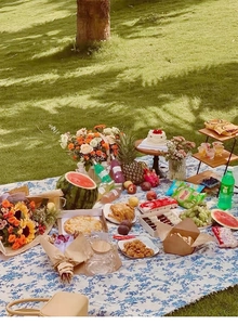 Vue de dessus d'une couverture de pique-nique à fleurs bleues sur l'herbe avec fruits