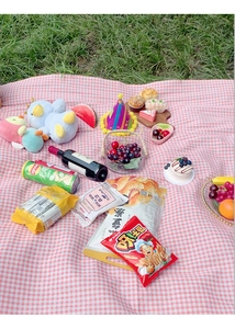 Detail of pink plaid picnic blanket with snacks and wine on lush green grass
