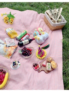 Detailed top view of pink checkered picnic mat with snacks and decor on the grass