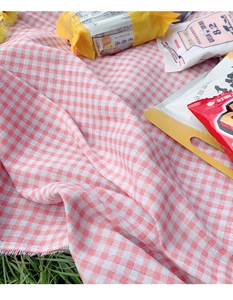 Close-up of red and white plaid picnic mat with fringe edges on green grass