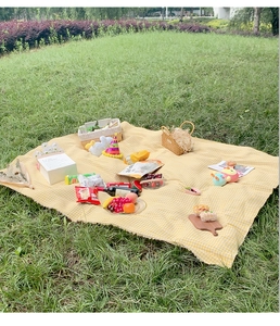 Detail showing yellow and white checkered picnic mat with fringes on green grass