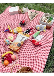 Flat lay of a red checkered picnic mat with snacks and wine on green grass