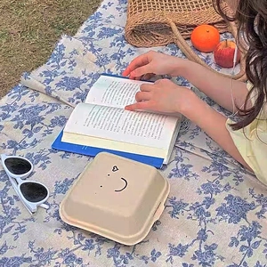Boîte à lunch de pique-nique beige écologique avec smiley sur un tapis floral en plein air