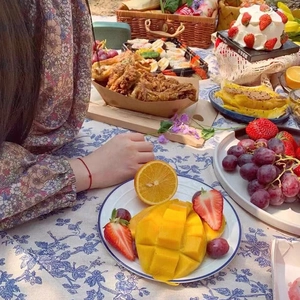 Robe fleurie en mousseline sur couverture de pique-nique avec gâteau et fruits au parc
