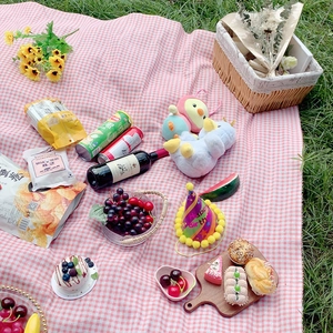 Pink checkered outdoor picnic mat set with woven basket and fresh fruits on green grass