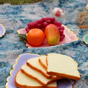 Outdoor picnic set with colorful gold-edged paper plates on floral picnic mat