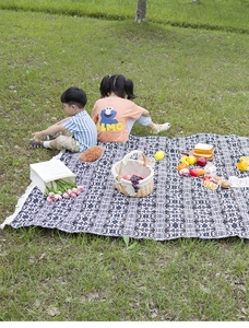 Detail of blue and white geometric picnic mat with fringe edges on grass field