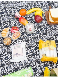 Detail of bohemian navy and white geometric pattern on woven cotton picnic blanket