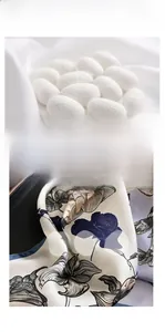 Détail d'un foulard en soie montrant des cocons naturels et un motif floral