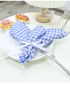 Detail of blue and white plaid linen placemat with ribbon bow on white ceramic plate
