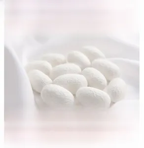 Detailed view of high-quality white silk cocoons showing natural mulberry fiber texture
