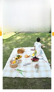 Detail showing beige and white checkered picnic mat texture on a lush outdoor lawn