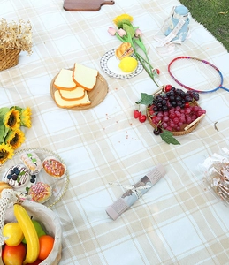 Detailed view of yellow plaid picnic mat on grass with outdoor food and accessories