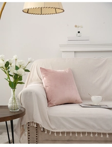 Pink velvet pillowcase on sofa with fringe blanket, modern home decor scenery