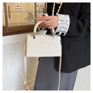 Chic cream lychee texture box bag with silver hardware held in a French interior setting