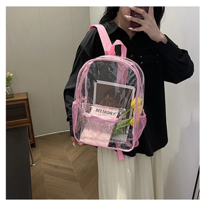 Detail of transparent PVC backpack with pink straps and front pocket for school use
