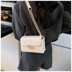 Detail of cream crossbody bag featuring a gold twist lock and metallic chain strap
