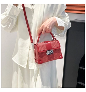 Detailed view of red lizard-embossed box bag featuring silver metallic lock and corner guards