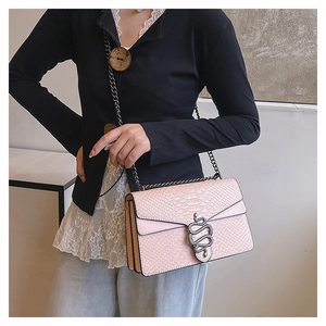 Detail of pink snake-skin texture bag with silver chain strap and snake buckle