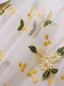 Detailed macro view of white lace mesh fabric with delicate daisy floral embroidery