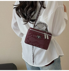 Detail of burgundy snakeskin crossbody box bag with chain strap on a model shoulder