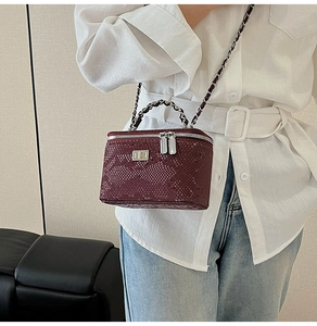 Detail of burgundy snakeskin crossbody box bag with silver chain strap on model
