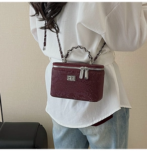 Macro shot of burgundy snake pattern leather and silver clasp on chain crossbody bag