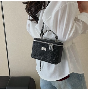 Close-up of black snake-patterned vanity case bag with silver chain and metal clasp