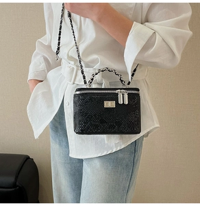 Detail of snake skin texture makeup box bag with metal handle and chain strap